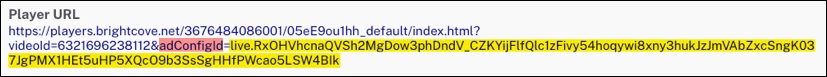 playback query parameters